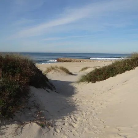 Semesterbostad Ribeiro's House