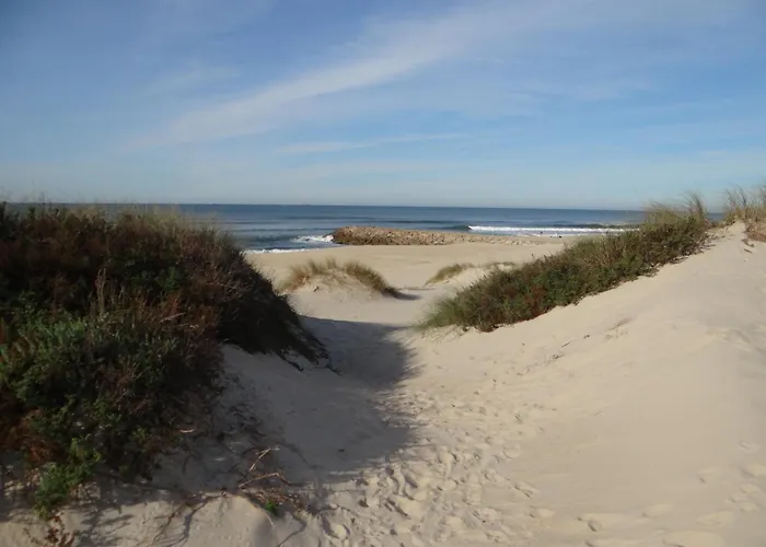 Dom wakacyjny Ribeiro's House